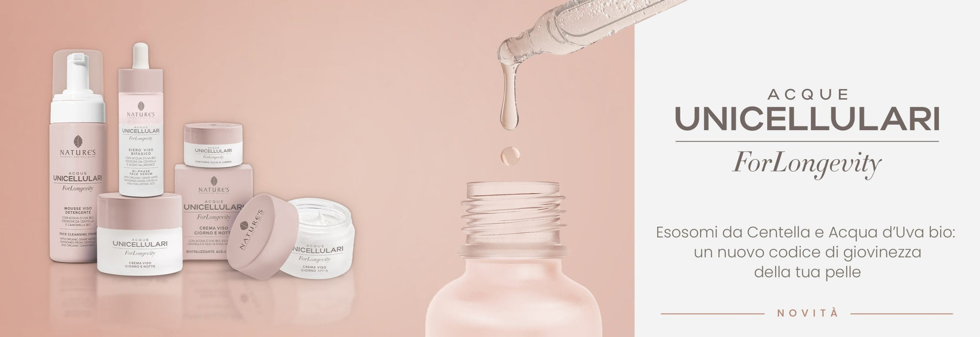 Linea For Longevity