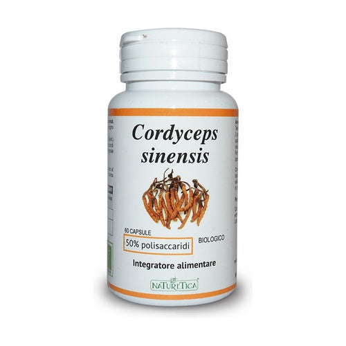 CORDYCEPS SINESIS (Tochukaso) - Naturetica