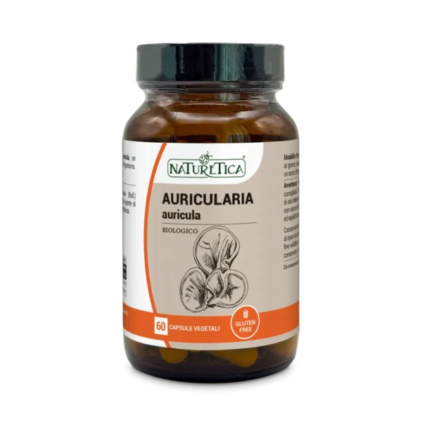 AURICULARIA AURICULA-JUDAE (Kikurage) - Natuteritica