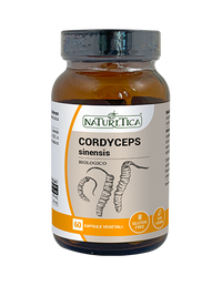 CORDYCEPS SINESIS (Tochukaso) - Naturetica