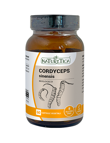 CORDYCEPS SINESIS (Tochukaso) - Naturetica