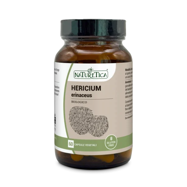 HERICIUM ERINACEUS (Yamabushitake) - Naturetica