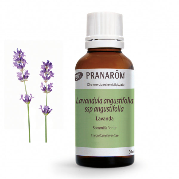 Lavanda angustifolia - Olio essenziale - Pranarom