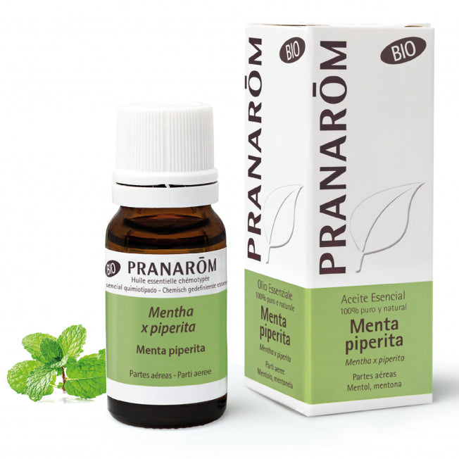 Menta piperita - Pranarom